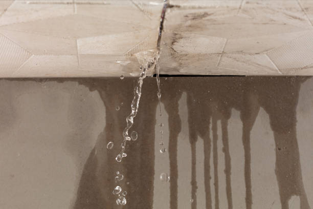 Professional Flood Damage Cleanup technician working in Courtenay, ND